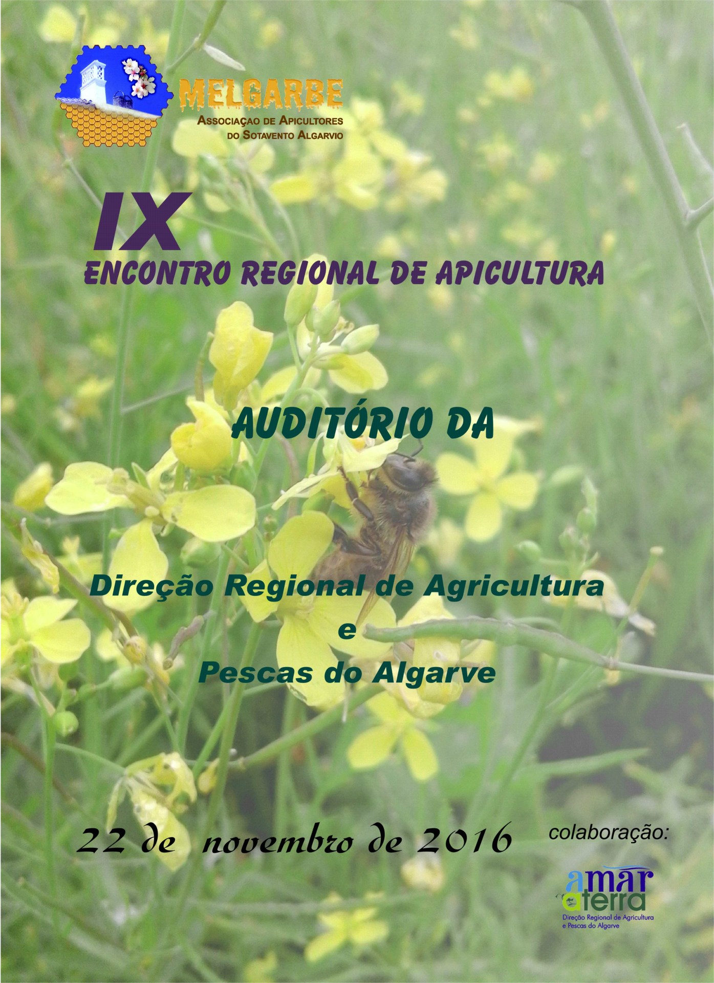 poster-ix-encontro-regional-apicultura-algarve_2016